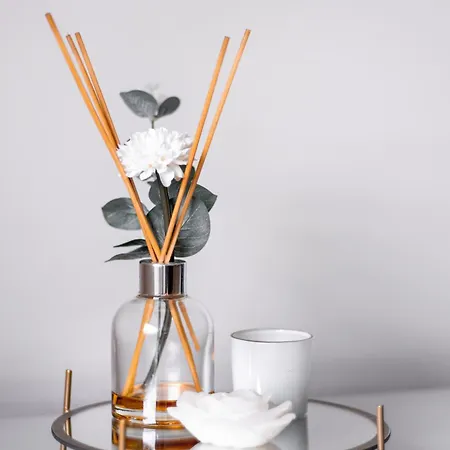 Bright Light - Bright Choice 公寓 丰沙尔