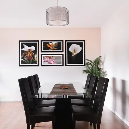 Apartment Bright Light - Bright Choice Funchal (Madeira)