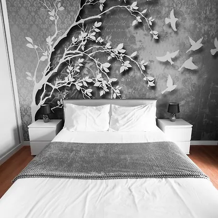 Bright Light - Bright Choice * フンシャル