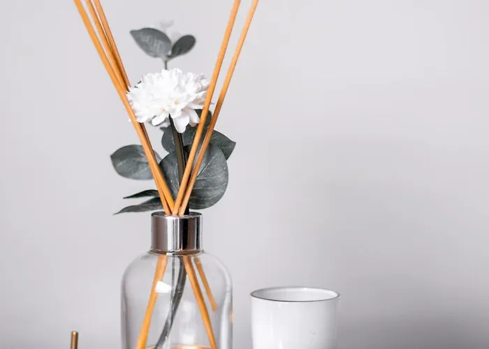 Bright Light - Bright Choice Διαμέρισμα Φουνκάλ