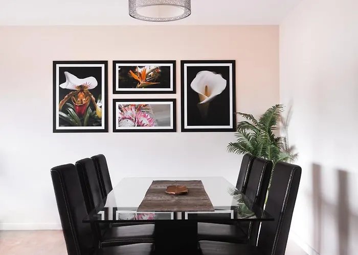 公寓 Bright Light - Bright Choice 丰沙尔