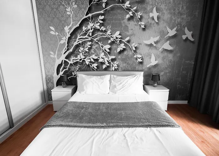 Bright Light - Bright Choice * Φουνκάλ